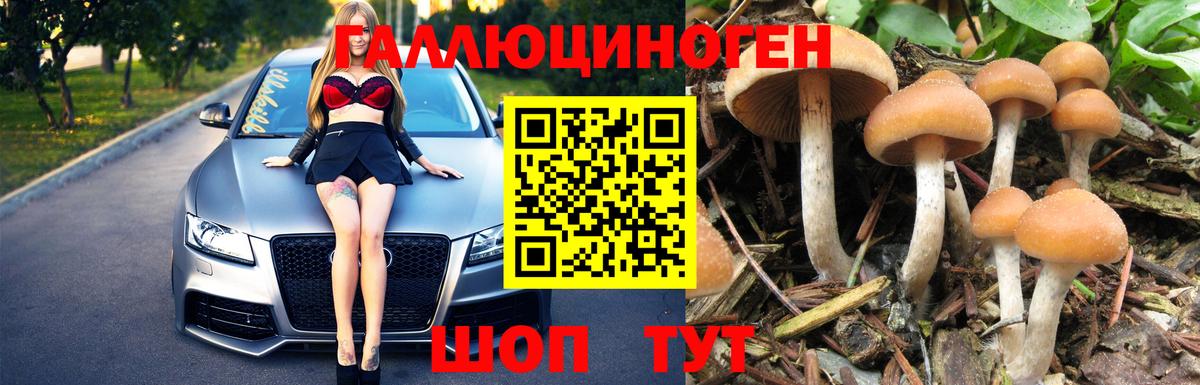 Мурманск  Псилоцибиновые грибы GOLDEN TEACHER  купить  сайты  Вход с VPN 